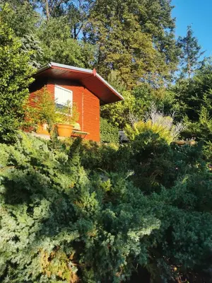 Ein Garten an der Unterkunft Ferienwohnung Brockenblick