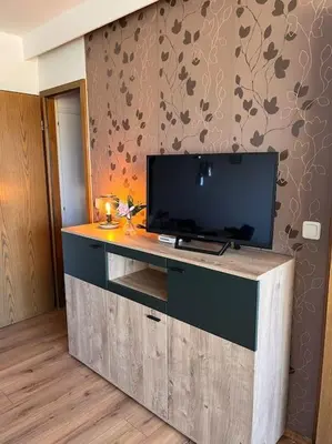 TV/Unterhaltungsangebot in der Unterkunft Harz-Idylle mit Sauna & Pool: Entspannung pur.