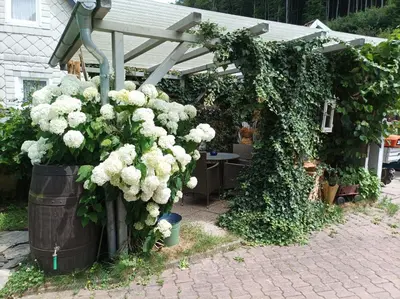 Ein Garten an der Unterkunft FeWo ,,An der kleinen Wilde''