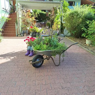Ein Garten an der Unterkunft FeWo ,,An der kleinen Wilde''