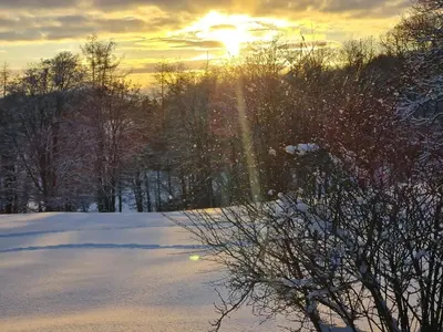 Sonnenscheinwohnung mit kleinem Bauernhof - a84905 im Winter