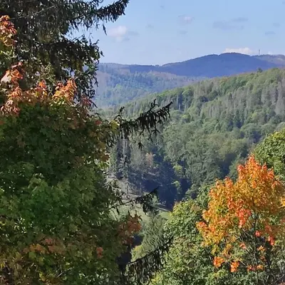 Naturlandschaft in der Nähe der Ferienwohnung