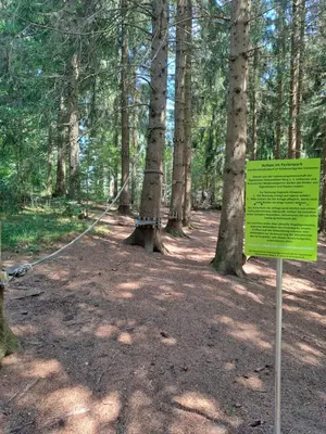 Naturlandschaft in der Nähe der Ferienwohnung
