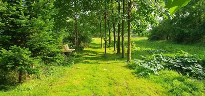 Ein Garten an der Unterkunft Gartenhaus Schlanstedt