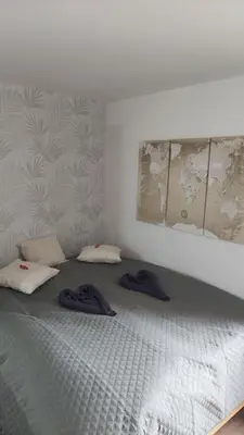 Ein Bett oder Betten in einem Zimmer der Unterkunft Günstige, schöne Ferienwohnung im Wanderparadies