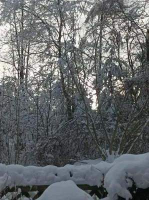 Harzglanz FeWos Blankenburger Str 8b im Winter