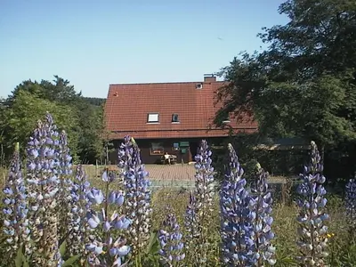 Ein Garten an der Unterkunft Apartment Annalena